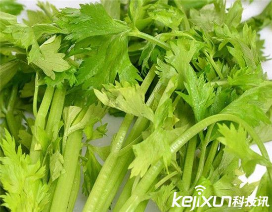 中國十大最臟果蔬排行 葡萄含有15種農(nóng)藥成分! 中國十大最臟果蔬排行 葡萄含有15種農(nóng)藥成分!